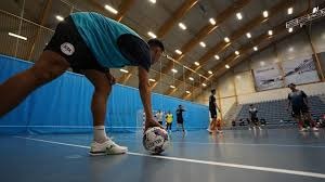 国米免签塔雷米，今夏第二笔自由转会