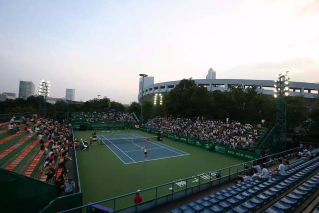 布莱顿顽强 布莱顿顽强