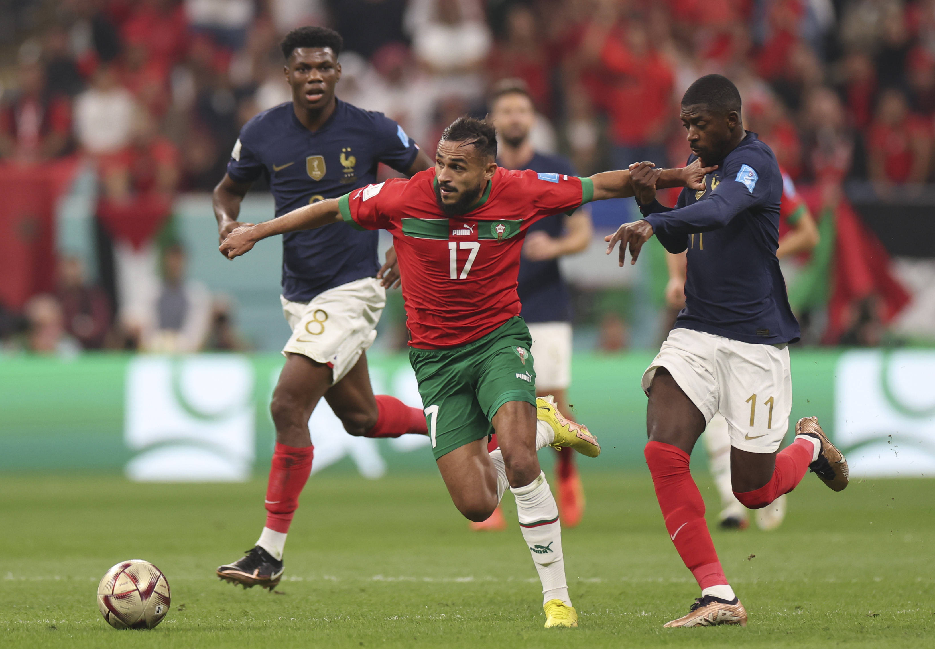 膝盖是球员 膝盖是球员