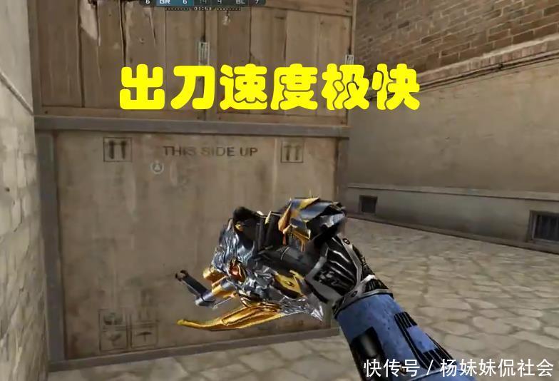 偏好常出现